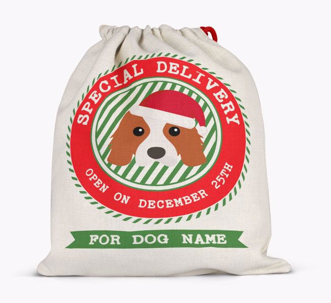 Special Delivery: Personalized {breedFullName} Santa Sack